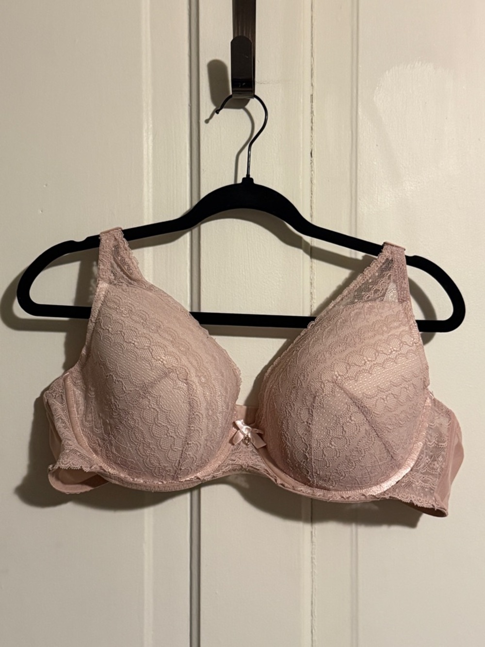 Adore Me Blush Lace Plunge Bra